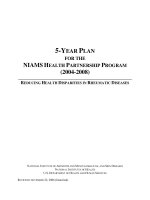 5-YEAR PLAN FOR THE NIAMS HEALTH PARTNERSHIP PROGRAM (2004-2008) pdf