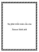 Sự phát triển toàn cầu của Sensor hình ảnh ppt