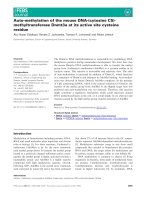 Báo cáo khoa học: Auto-methylation of the mouse DNA-(cytosine C5)-methyltransferase Dnmt3a at its active site cysteine residue pot