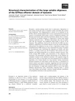 Báo cáo khoa học: Structural characterization of the large soluble oligomers of the GTPase effector domain of dynamin potx