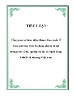 TIỂU LUẬN: Tổng quan về hoạt động thanh toán quốc tế bằng phương thức tín dụng chứng từ tại trung tâm xử lý, nghiệp vụ hội sở Ngân hàng TMCP kỹ thương Việt Nam pdf