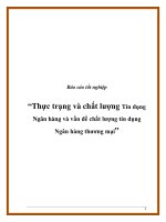 Báo cáo tốt nghiệp “Thực trạng và chất lượng Tín dụng Ngân hàng và vấn đề chất lượng tín dụng Ngân hàng thương mại” pdf