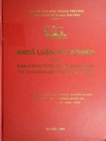 quản lý rủi ro trong hoạt động kinh doanh thẻ tại các ngân hàng thương mại việt nam
