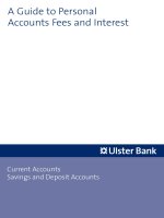 A Guide to Personal Accounts Fees and Interest docx
