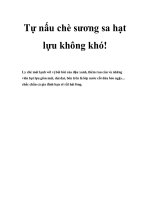 Tự nấu chè sương sa hạt lựu không khó docx