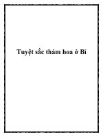 Tuyệt sắc thảm hoa ở Bỉ doc