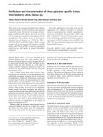 Báo cáo Y học: Puriﬁcation and characterization of three galactose speciﬁc lectins from Mulberry seeds (Morus sp.) ppt