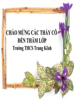 Giáo án bồi dưỡng sinh học lớp 7 Cây dương xỉ - ngành quyết