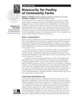 BIOSECURITY POULTRY AT COMMUNITY FARMS doc