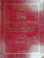 Các giải pháp thực thi có hiệu quả Luật thương mại Việt Nam 2005