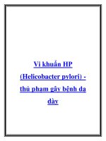 Vi khuẩn HP (Helicobacter pylori) thủ phạm gây bệnh dạ dày ppt