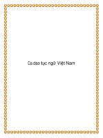 Ca dao tục ngữ Việt Nam docx