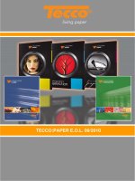 TECCO:PAPER E.O.L. 09/2010 potx