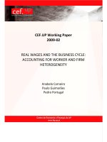 REAL WAGES AND THE BUSINESS CYCLE: ACCOUNTING FOR WORKER AND FIRM HETEROGENEITY potx