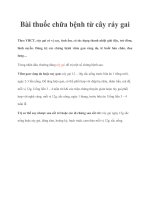 Bài thuốc chữa bệnh từ cây ráy gai pot