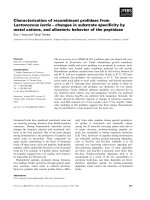 Báo cáo khoa học: Characterization of recombinant prolidase from Lactococcus lactis – changes in substrate speciﬁcity by metal cations, and allosteric behavior of the peptidase pdf