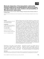 Báo cáo khoa học: Molecular dissection of the biosynthetic relationship between phthiocerol and phthiodiolone dimycocerosates and their critical role in the virulence and permeability of Mycobacterium tuberculosis doc
