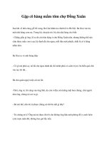 Gặp cô hàng mắm tôm chợ Đồng Xuân docx