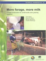 MORE FORAGE, MORE MILK pdf