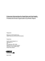 Enhancing Partnerships for Head Start and Oral Health: Professional Dental Organizations Synthesis Report pptx