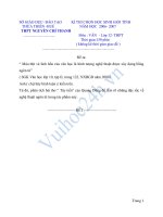 SỞ GIÁO DỤC- ĐÀO TẠO KÌ THI CHỌN HỌC SINH GIỎI TỈNH THỪA THIÊN -HUẾ NĂM HỌC 2006- 2007 THPT NGUYỄN CHÍ THANH Môn : VĂN - Lớp 12 pdf