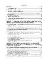 Giải pháp Marketing nhằm thu hút khách quốc tế đến với khách sạn Nam Cường - Hải Dương