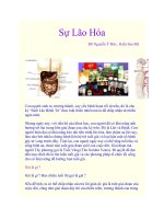 Sự Lão Hóa doc