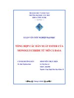 tổng hợp các dẫn xuất ester của monoglyceride từ mỡ cá basa