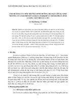 ẢNH HƯỞNG CỦA MÔI TRƯỜNG DINH DƯỠNG, ĐỘ MẶN LÊN SỰ SINH TRƯỞNG CỦA ISOCHRYSIS GALBANA PARKER VÀ THÀNH PHẦN, HÀM LƯỢNG AXIT BÉO CỦA NÓ ppt