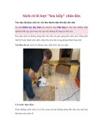 Sách cũ lũ lượt 