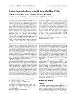 Báo cáo khoa học: In vitro characterization of a plastid terminal oxidase (PTOX) pot