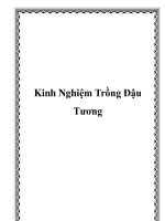 Kinh Nghiệm Trồng Đậu Tương pot