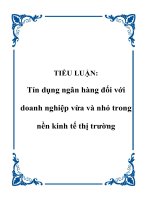 TIỂU LUẬN: Tín dụng ngân hàng đối với doanh nghiệp vừa và nhỏ trong nền kinh tế thị trường docx