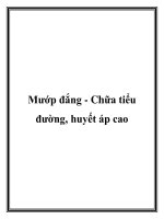 Mướp đắng - Chữa tiểu đường, huyết áp cao docx