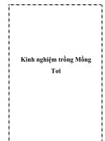 Kinh nghiệm trồng Mồng Tơi potx