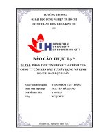 phân tích tình hình tài chính của công ty cổ phần thanh hoa sông đà