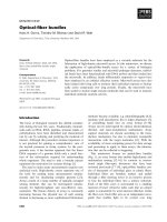 Báo cáo khoa học: Optical-ﬁber bundles ppt