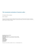 The transmission mechanism of monetary policy docx