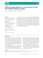 Báo cáo khoa học: Fatty acid omega-oxidation as a rescue pathway for fatty acid oxidation disorders in humans pot