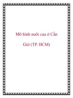 Mô hình nuôi cua ở Cần Giờ (TP. HCM) pot