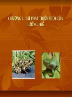 CHƯƠNG 4: SỰ PHÁT TRIỂN PHÔI CỦA LƯỠNG THỂ ppt