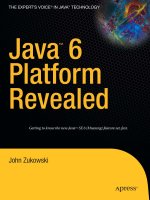 java 6 platform revealed, 2006