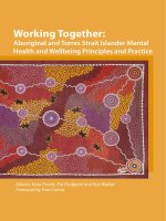Working Together: Aboriginal and Torres Strait Islander Mental Health and Wellbeing Principles and Practice docx