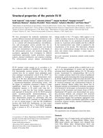 Báo cáo khóa học: Structural properties of the protein SV-IV potx
