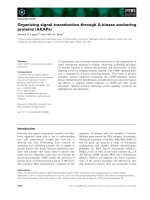 Báo cáo khoa học: Organizing signal transduction through A-kinase anchoring proteins (AKAPs) docx