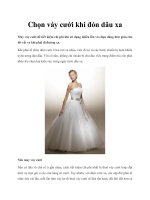 Chọn váy cưới khi đón dâu xa pot