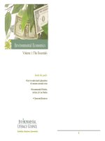 Environmental Economics: The Essentials doc