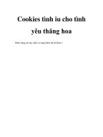 Cookies tình iu cho tình yêu thăng hoa ppt