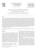 Meyfroidt & lambin 2008 causes of reforestation in VN