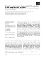 Báo cáo khoa học: Catalytic transformations of supercoiled DNA as studied by ﬂow linear dichroism technique doc